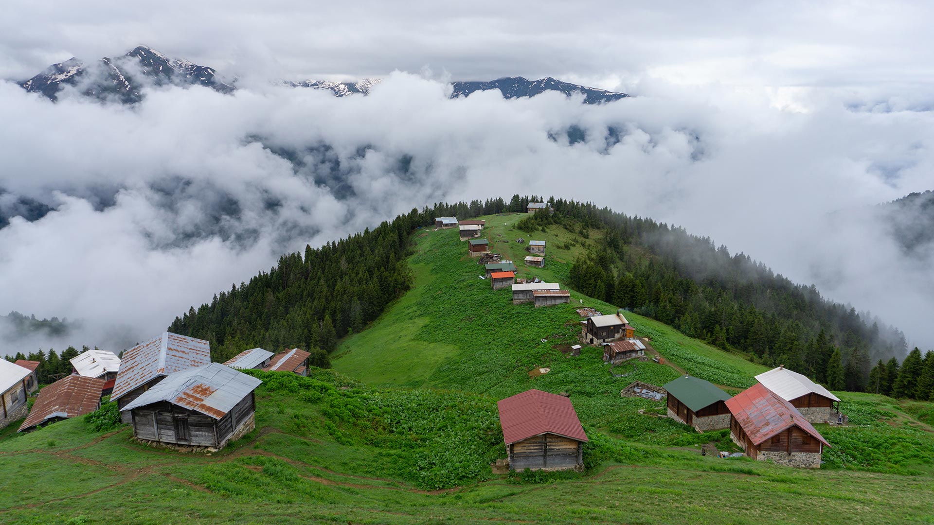 Karadeniz’in az bilinenleri: Ordu Ohtamış Şelalesi